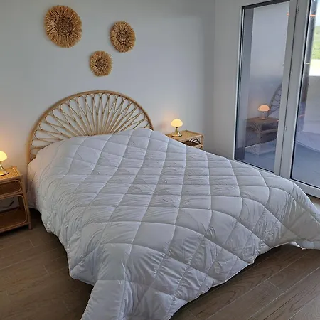 Iconic 343 , Superbe T2 Climatise, Wifi, Parking, Terrasse 18m2 阿格德