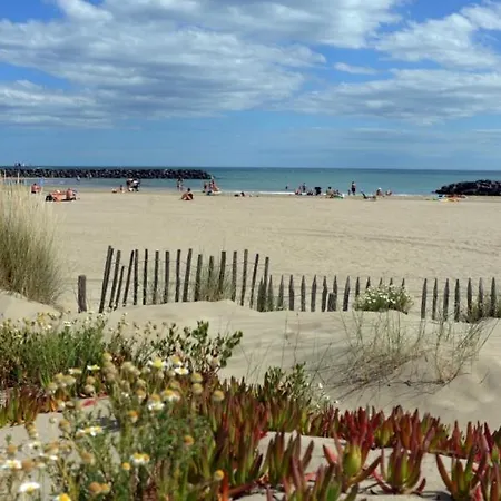 Iconic 343 , Superbe T2 Climatise, Wifi, Parking, Terrasse 18m2 阿格德