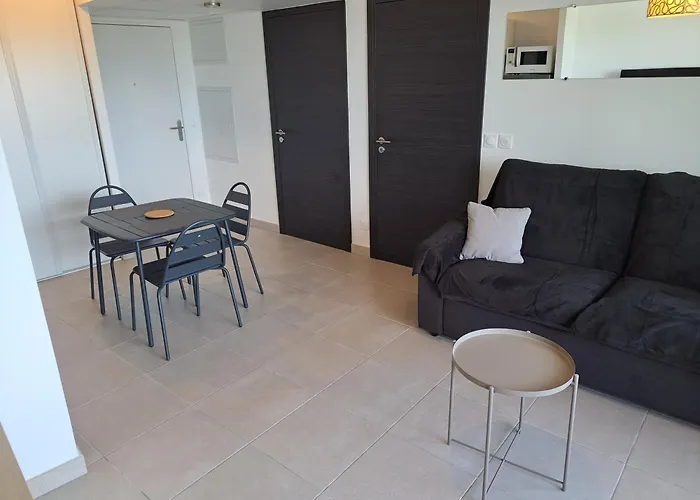 Appartamento De Standing, 4 Pers, Clim, Parking, Iconic Agde