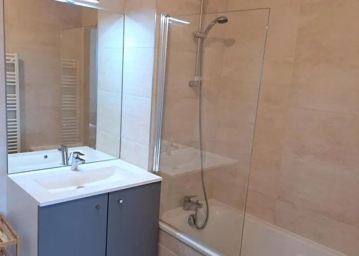 De Standing, 4 Pers, Clim, Parking, Iconic Agde